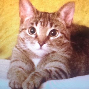 Meet your Posher, Natasha